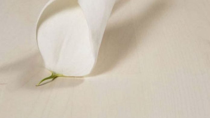 Deski podłogowe- przewodnik po podłogach cz. 2