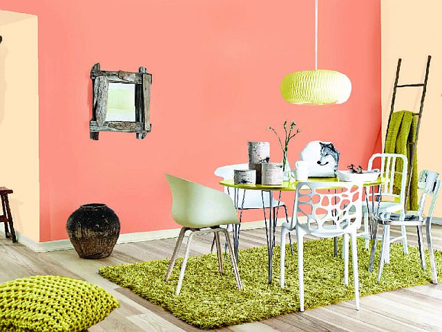 Nowe kolory farb Super Wall Bondex