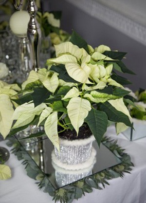 Świąteczna dekoracja stołu