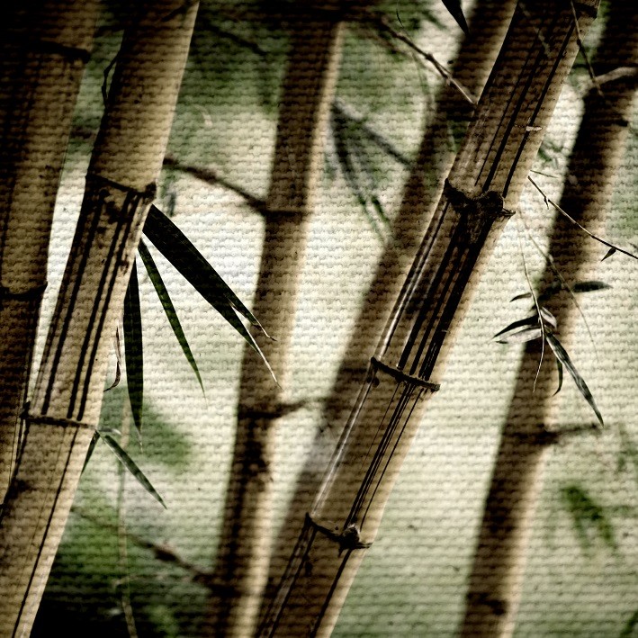 Pł&oacute;tno na ścianę