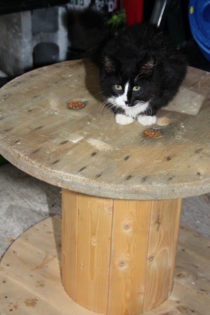 Stolik z bębna kablowego