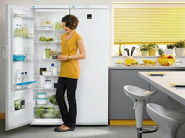 Avanti - nowa linia chłodziarek Zanussi Avanti - nowa linia chłodziarek Zanussi