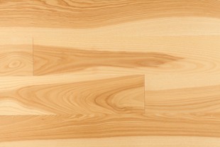 Podłoga z jesionu Kopp Kopp – Podłogi Naturalnie Doskonałe