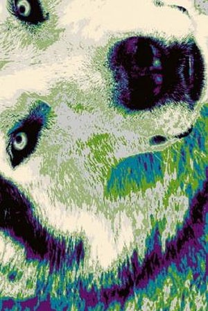 Dywany pobudzające dziecięcą wyobraźnię