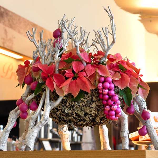 Gwiazda betlejemska - gustowna dekoracja świąteczna