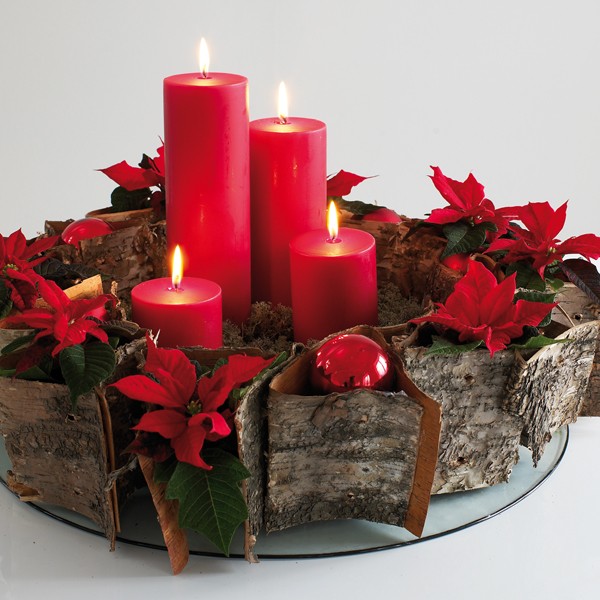 Gwiazda betlejemska - gustowna dekoracja świąteczna