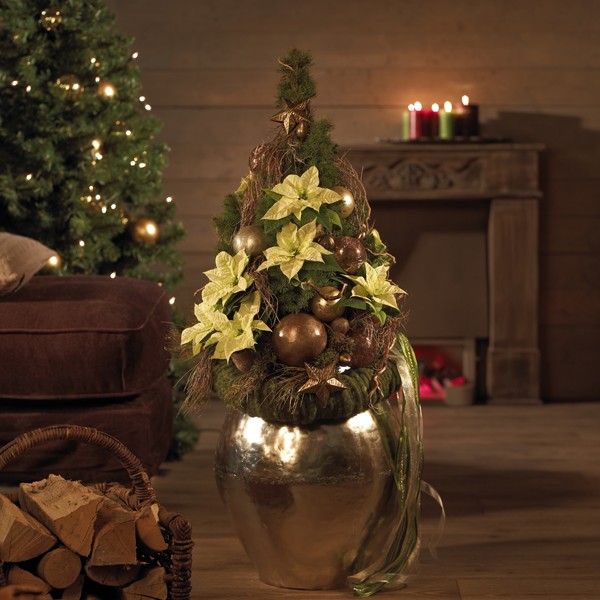 Gwiazda betlejemska - gustowna dekoracja świąteczna