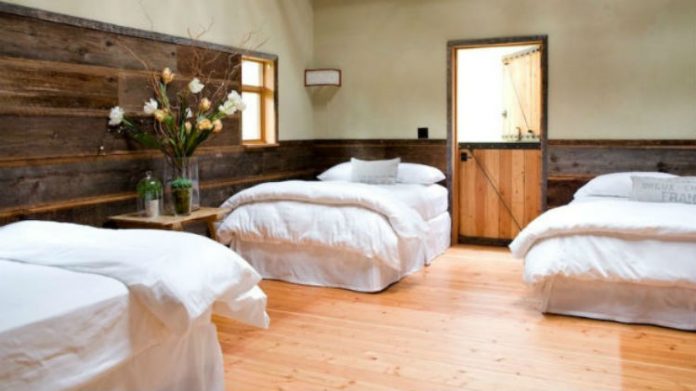 Kwiaty w sypialni - spos&oacute;b na przytulne wnętrze