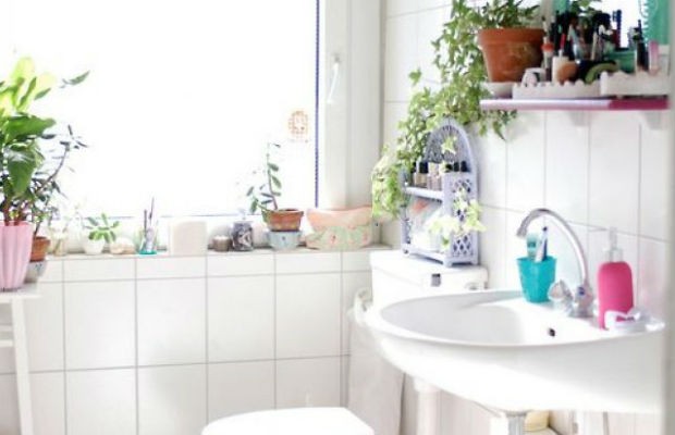 jasny kremowy biały kolor ścian