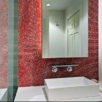 czerwone plytki w lazience michael tauber architecture