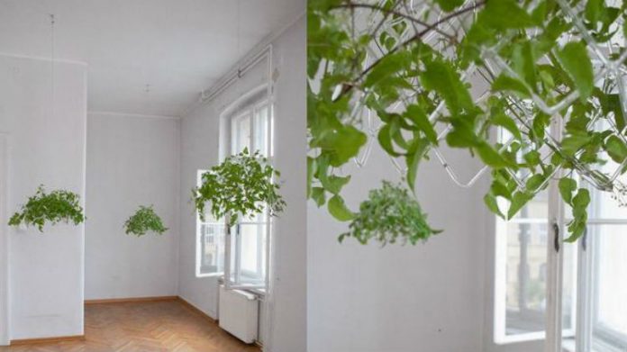 Ażurowe kopuły wykonane ze szklanych pręt&oacute;w