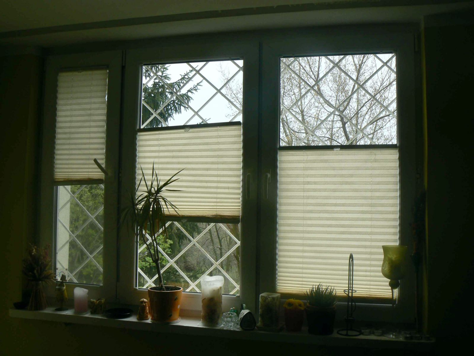 Rolety plisowane, fot.: Dreżal