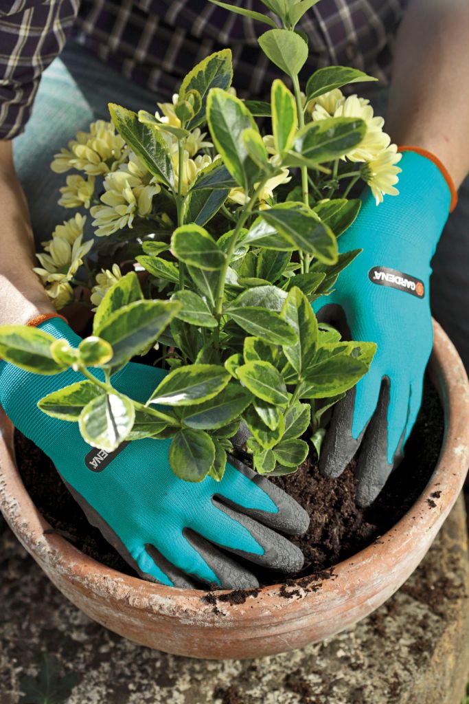 Rękawice do prac ogrodowych, fot.: GARDENA