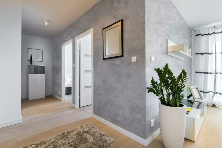 primacol decorative cena