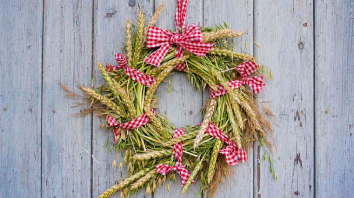 ostatanie zdjecie glowne