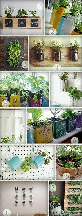 Zielnik w kuchni - instrukcja i inspiracje 26 jak urządzić zielnik w domu