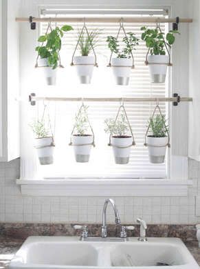 Zielnik w kuchni - instrukcja i inspiracje 27 zioła do kuchni