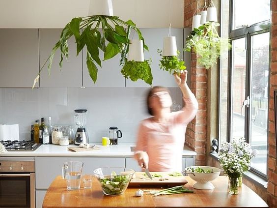 Zielnik w kuchni - instrukcja i inspiracje 33 kuchnia w ziołach