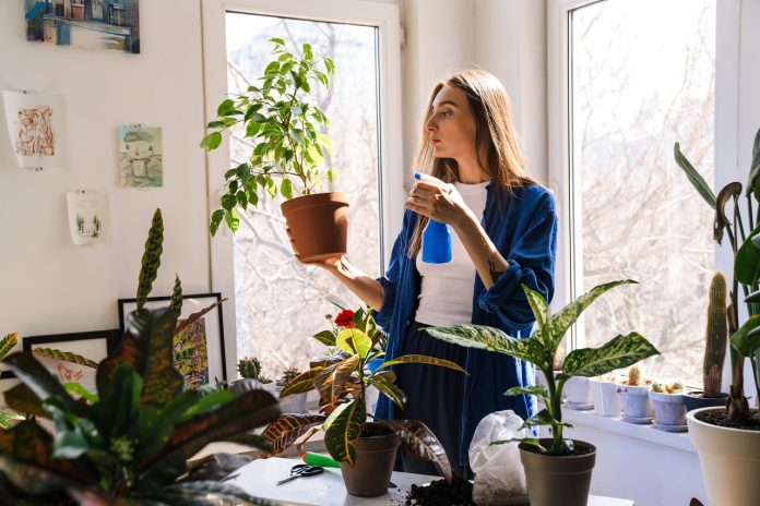 kobieta pielęgnująca rośliny doniczkowe